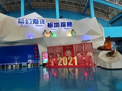 -泉城欧乐堡海洋极地世界
