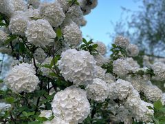 -大龙山(地铁站)