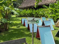 -大象粑粑造纸公园