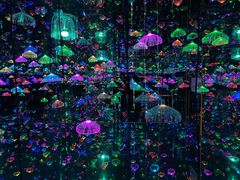 -迷斯伍德星空博物馆