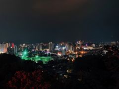 -金鸡山公园