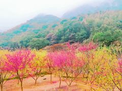 -福清灵石山国家森林公园