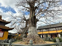 -圆通寺