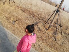 -东郊湿地公园