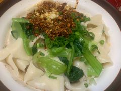 牛肉油泼扯面-马振面(小皮院店)