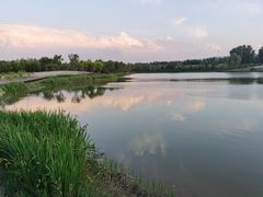 -东郊湿地公园