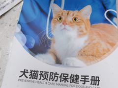 -瑞鹏宠物医院华南总院·夜诊·心脏科·骨科