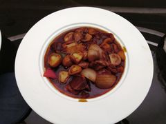 -诺莱仕游艇会