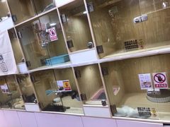 -屋虎猫馆(宝安大仟里店)