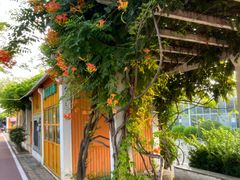 -兰陵国家农业公园