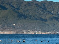 -丽江泸沽湖景区