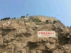 -海驴岛(荣成市)