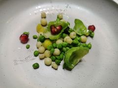 -诺莱仕游艇会