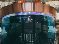 -OPEN開全日自助餐厅·牛肉火锅·海鲜(佛山希尔顿酒店)