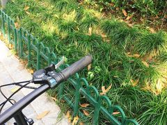 -杭州城北体育公园