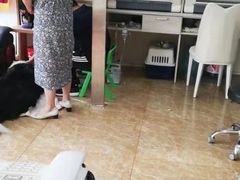 -A猫a狗全科·犬猫异宠·芥西宠物医院(南开总院)