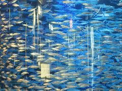 -重庆海昌加勒比海水世界
