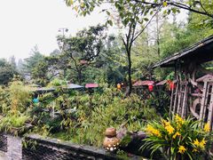 -青城甲(青城山店)