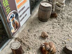 -成都欢乐谷