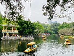 -晓港公园