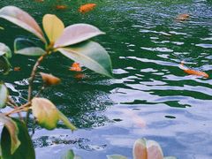 -麒麟小院·老九江菜(安平路店)