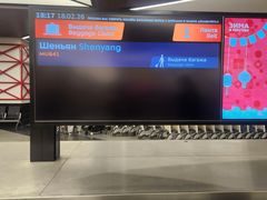 -谢列梅捷沃国际机场