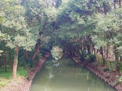 -同里国家湿地公园