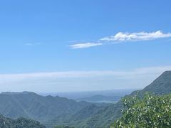 -大岭沟猕猴桃谷风景区