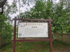 -御林古桑园