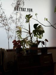 -HEY!TATTOO·嘿刺青