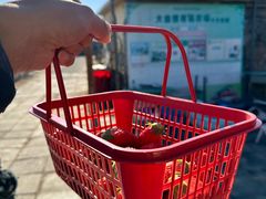-大自然农场蔬菜草莓采摘园