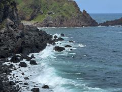 -涉地可支