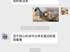 -Pets First伊珊娜洗护·精致美容·家庭式寄养(新会路店)