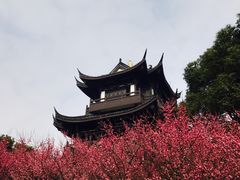 -范蠡湖公园