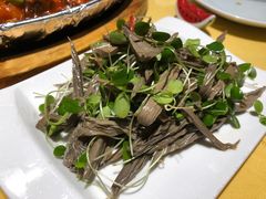 黑腐竹香椿苗-素虎小呆鸟(西二旗店)