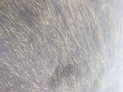 -贵阳市花溪国家城市湿地公园