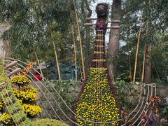 -杭州植物园
