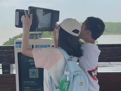 -大湾区中央湿地公园