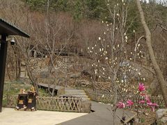 -崂山巨峰游览区