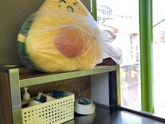 -油梨树AVOCADO TREE(顺义新国展店)