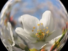 -缘久缘米粉(新街口店)