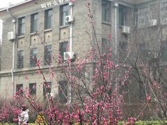 -山东师范大学(千佛山校区)