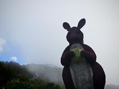 -野三坡百草畔景区