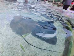 -鸿通城购物中心