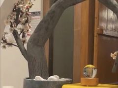 -不凡脑禅境·养生·舒压调理SPA(华发世纪城店)