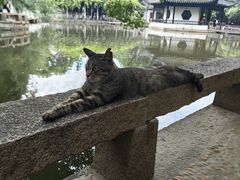 -西园戒幢律寺