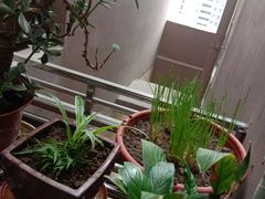 -金良酸菜鱼(宁海路总店)