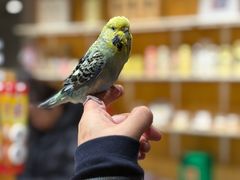 -凤凰汇购物中心