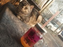 -平行世界·猫咖(首经贸店)