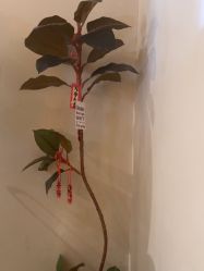 -东时烫染造型·Hair Salon